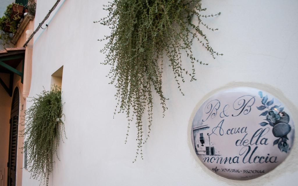 B&B A Casa Della Nonna Uccia Nardò Eksteriør billede